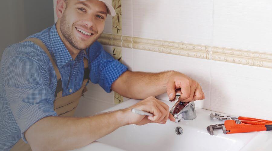 Professional Leak Detection Services services in Watervliet, MI
